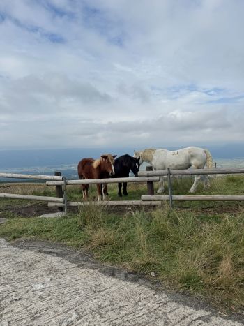 阿蘇の牧場風景です。