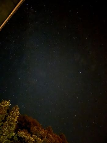 旅館の屋上からの星空です。